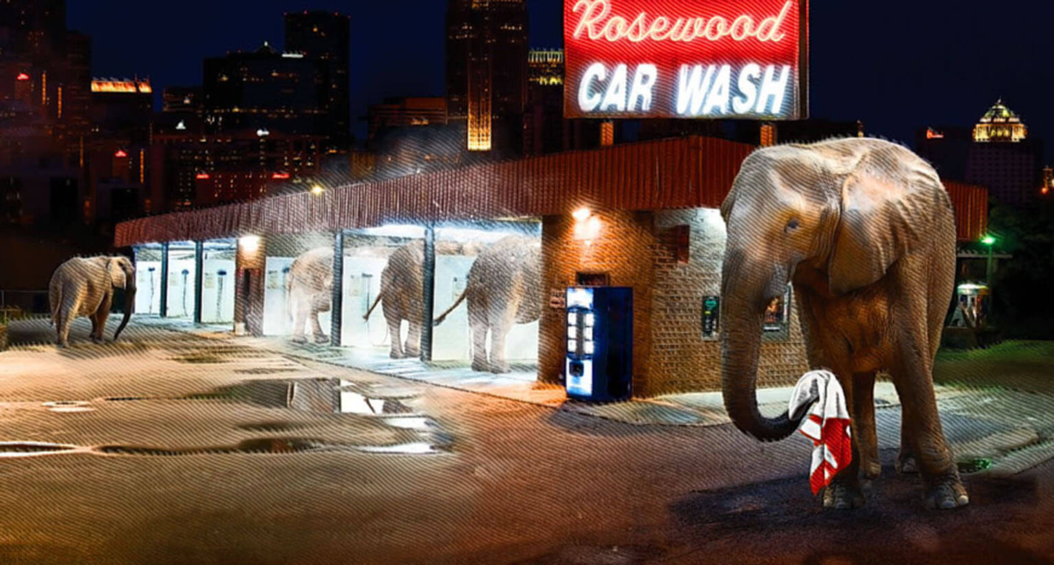 Annodyne strategy and data analysis for Higher Education and Healthcare clients