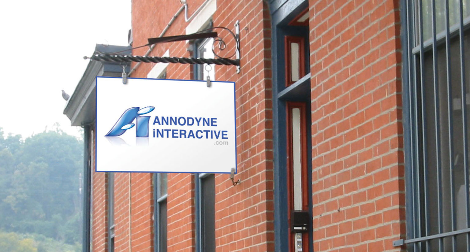 Annodyne agency origins in the Philadelphia region - Established 2001
